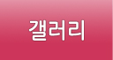 갤러리